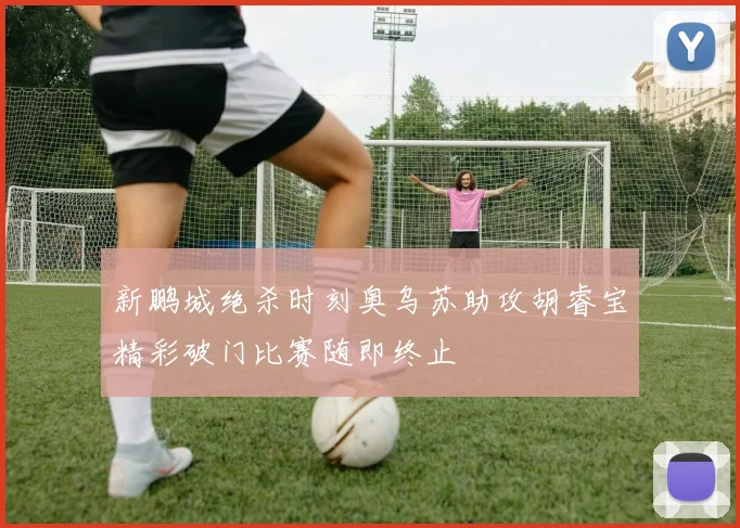 新鹏城绝杀时刻奥乌苏助攻胡睿宝精彩破门比赛随即终止