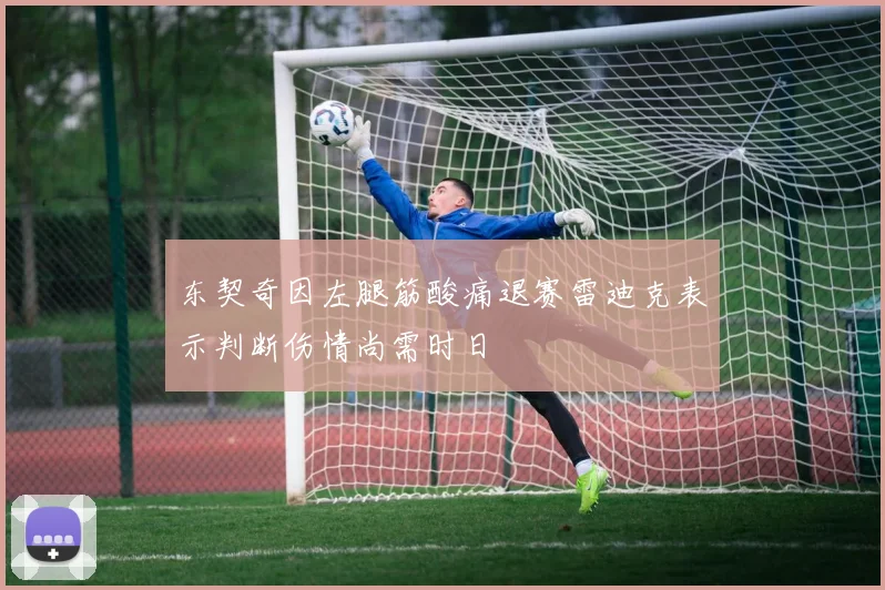 东契奇因左腿筋酸痛退赛雷迪克表示判断伤情尚需时日
