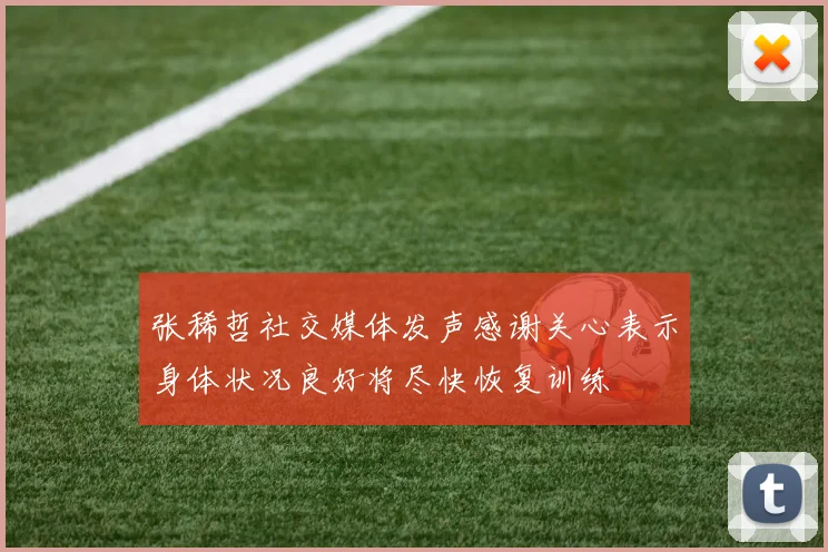 张稀哲社交媒体发声感谢关心表示身体状况良好将尽快恢复训练