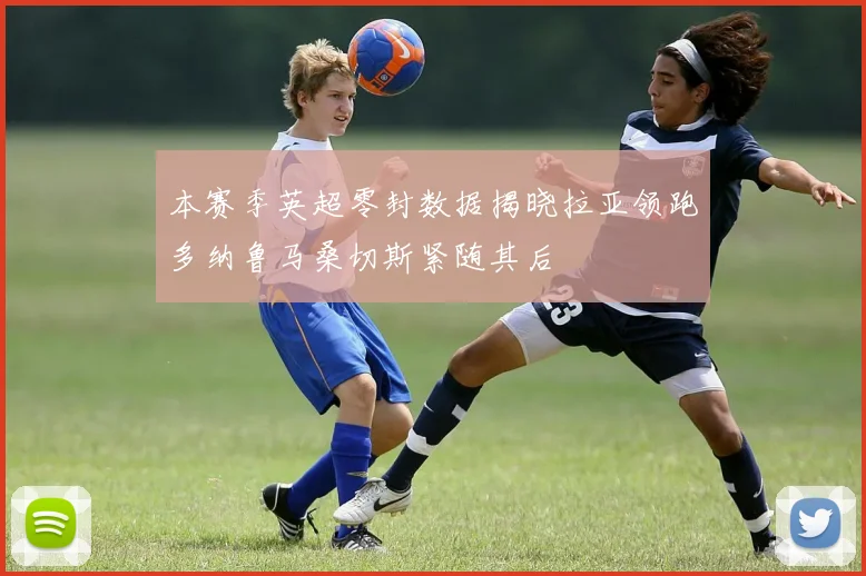 本赛季英超零封数据揭晓拉亚领跑多纳鲁马桑切斯紧随其后