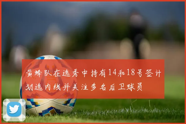 黄蜂队在选秀中持有14和18号签计划选内线并关注多名后卫球员